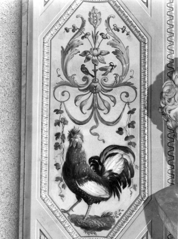 Gallo e uccelli - Villa Borghese Pinciana, Roma